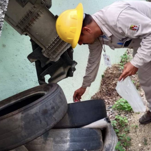 Zacatepec pide ayuda urgente ante aumento de dengue y limitado apoyo del gobierno de Oaxaca